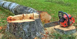 Best Emergency Tree Removal  in Merrionette Park, IL
