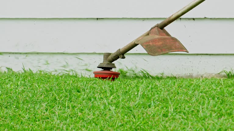 Best Lawn Mowing  in Merrionette Park, IL