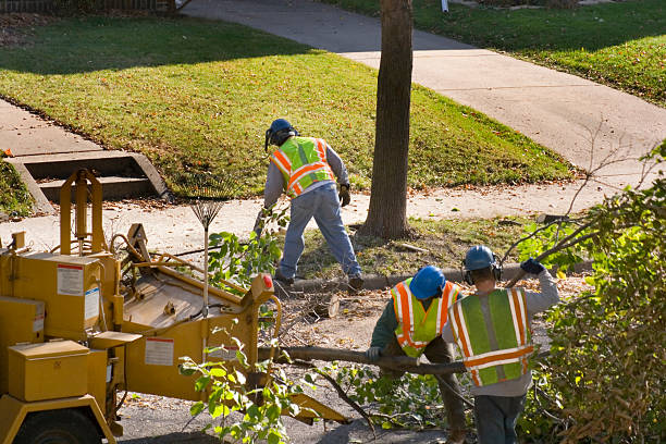 Soil Testing and Treatment in Merrionette Park, IL